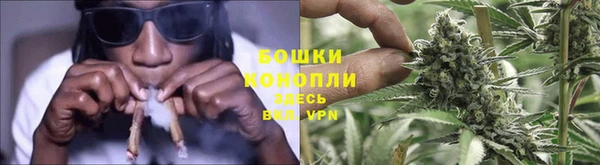 Альфа ПВП Осинники
