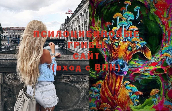 Альфа ПВП Осинники