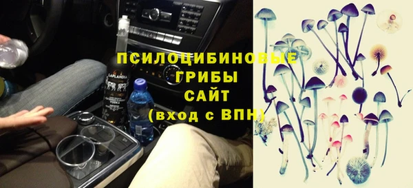 тгк Осташков