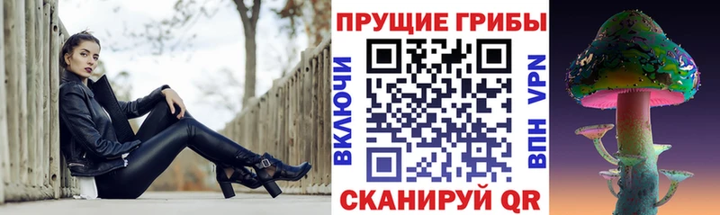 Псилоцибиновые грибы мицелий  что такое наркотик  Сычёвка 