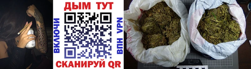 купить наркотики цена  Сычёвка  hydra ССЫЛКА  Марихуана индика 